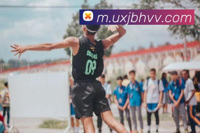华体会手机网页版平台生态图